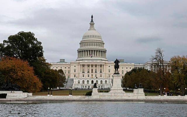 Politics Election category