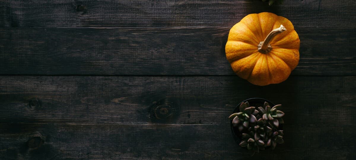 Feeling More Appreciative This Thanksgiving Than Ever Before