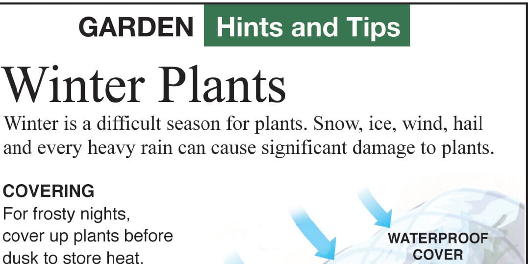 Cold-Damaged Plants