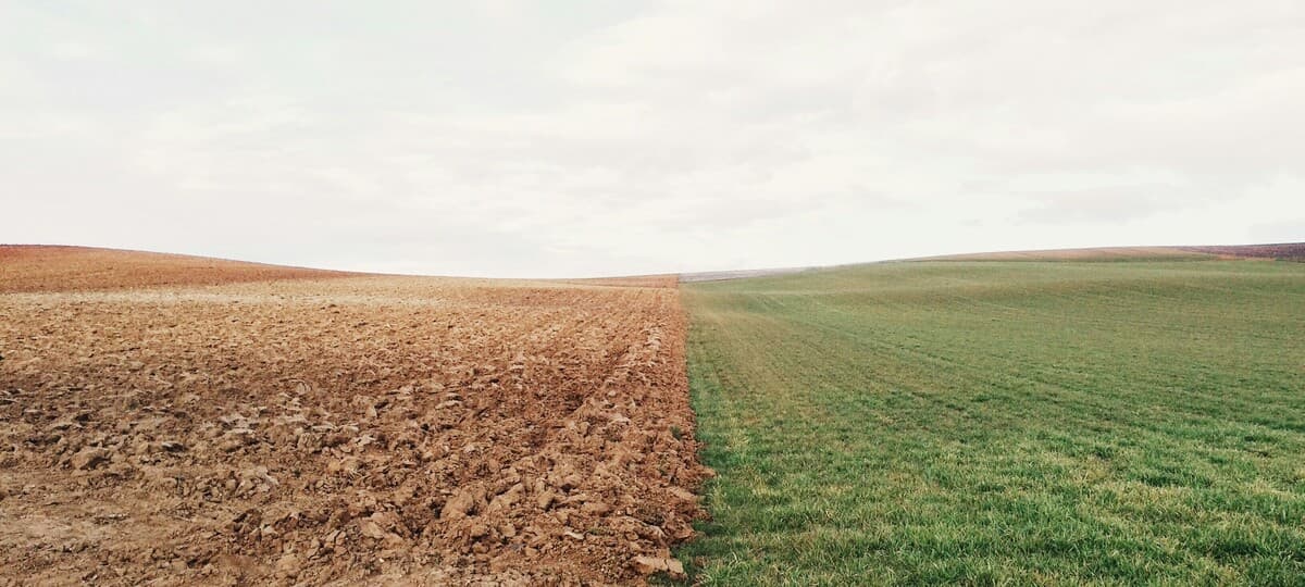 The Age of Dichotomy Is Tearing Up America
