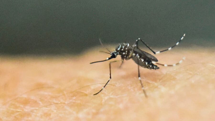 New York Health Officials Confirm State's First Locally Acquired Case of