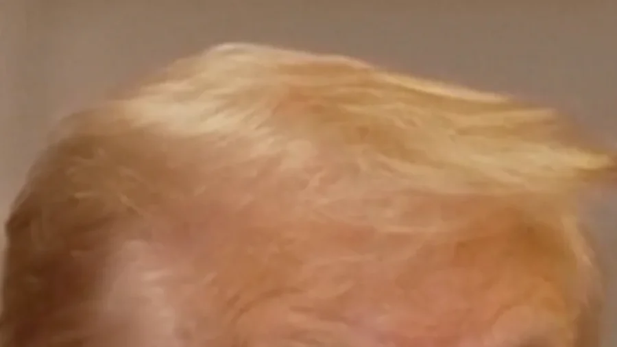 Trump Discusses the State of Trade Negotiations With China