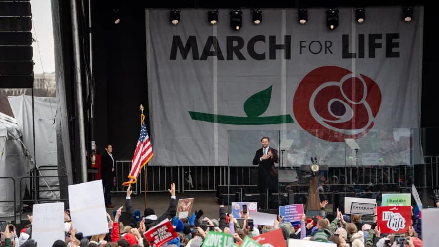 US to Halt Funding for Foreign Groups That Promote DEI: VP Vance