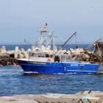 Trump Lifts Biden-Era Restrictions on Commercial Fishing in Atlantic Marine