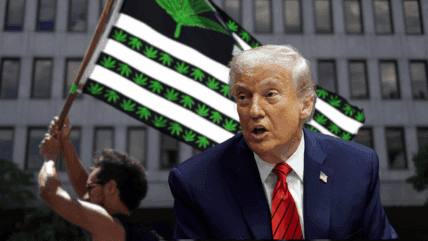 President Trump wants to cut restrictions on marijuana through executive order: