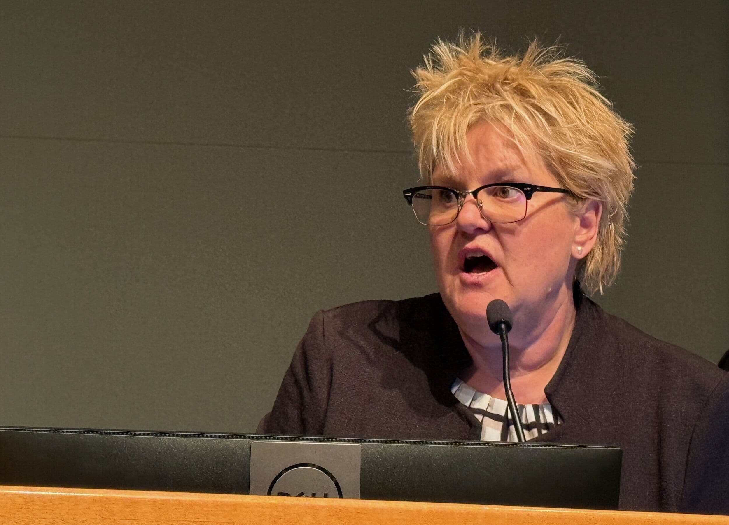 Colorado Republicans call meeting to rein in chair Brita Horn, but state GOP