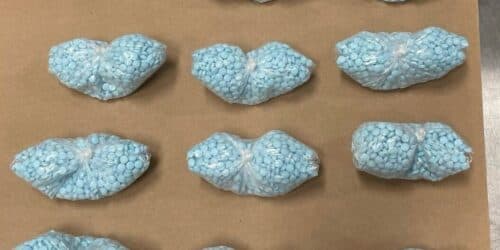 Colorado 'un santuario' for drug activity, DEA chief says