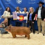 National Western Junior Livestock Auction sets record