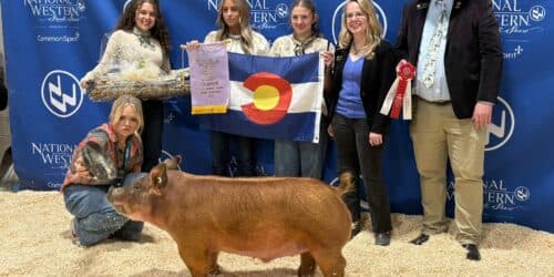 National Western Junior Livestock Auction sets record
