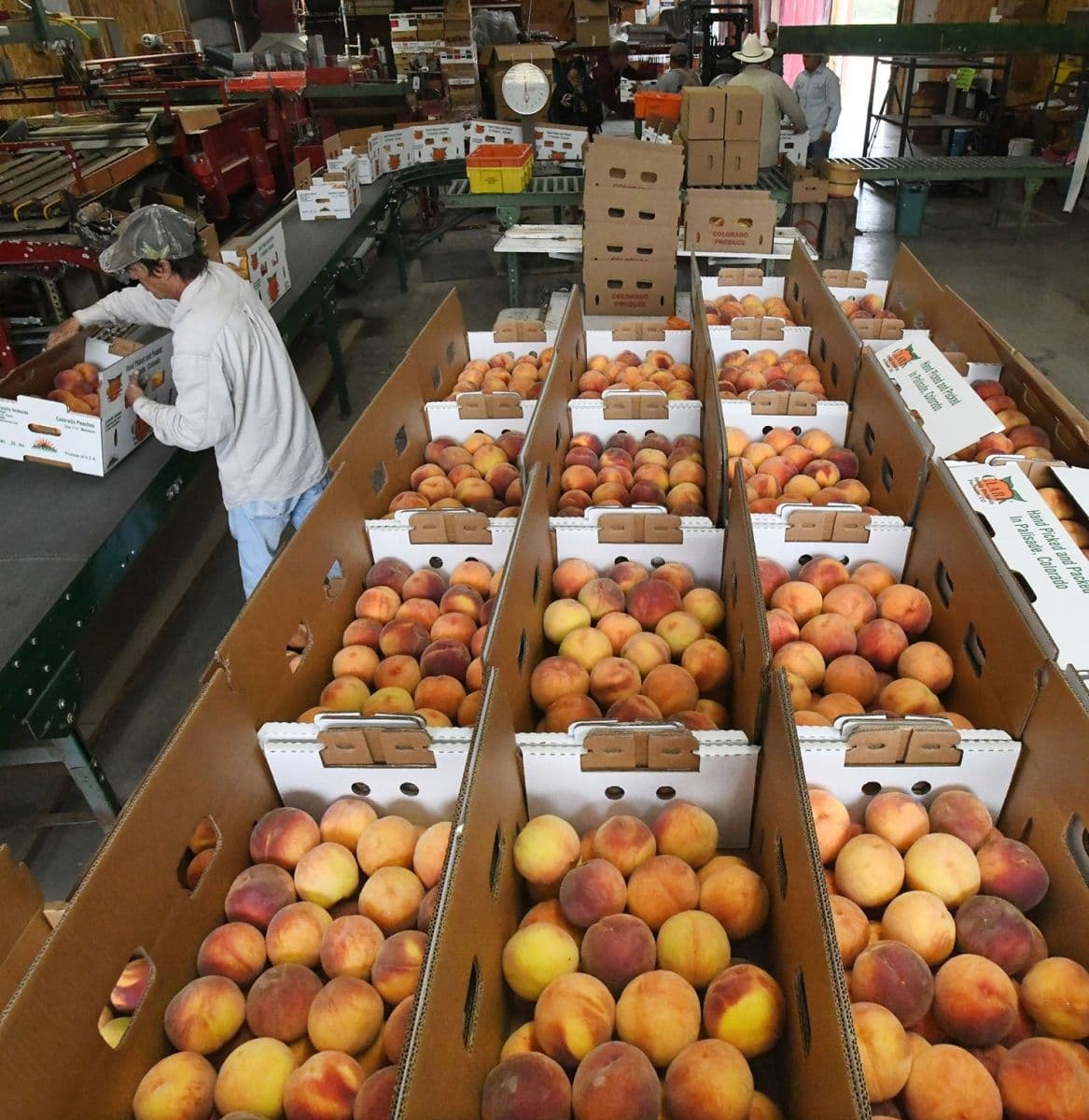 Colorado lawmakers take aim at 'imposter' peaches, melons and chiles