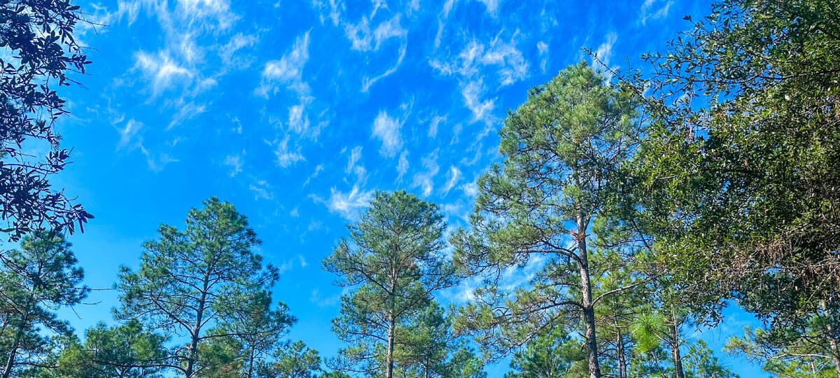 Saving Wildlife While Securing Our Nation: the Unlikely Alliance Between Conservationists and the U.S. Military