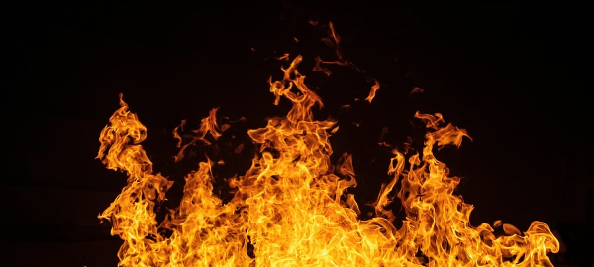 Democrats Can't Save Themselves, Let Alone America