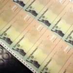 $2,000 Dividend Can Be Funded by Tariffs, Needs Legislation: Trump Adviser