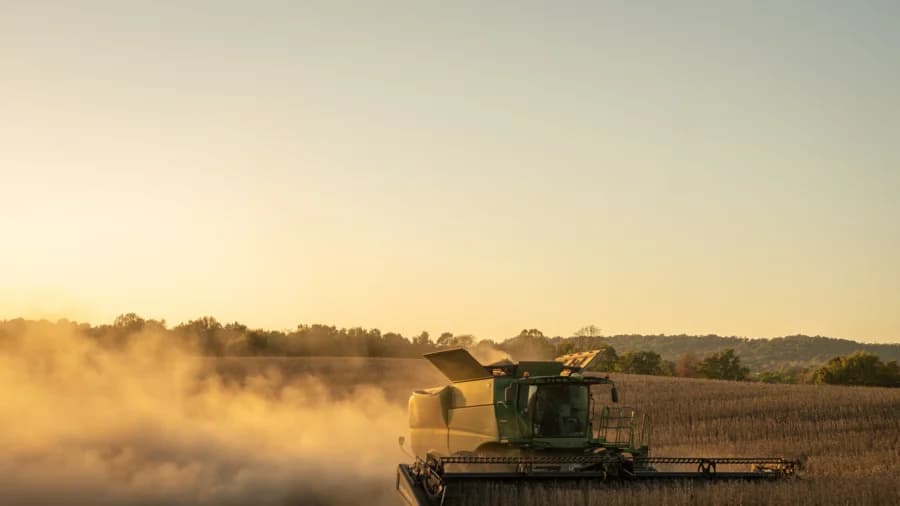 Trump Says China Will Buy More US Soybeans as Data Reveal Low Volume