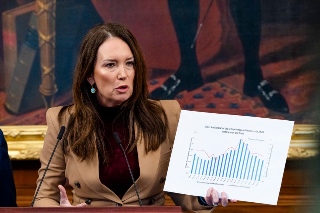 SNAP Rife With Corruption and Fraud, Says Agriculture Security as Benefits Lapse