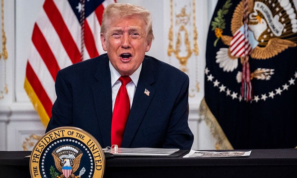 Trump vows to 'permanently pause' migration from poor nations in anti-immigrant