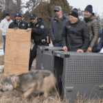 Outgoing CPW director Jeff Davis lands new role, same salary amid Colorado