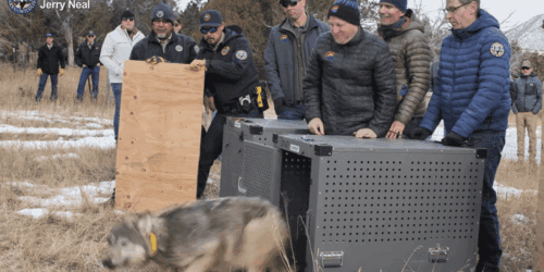 Outgoing CPW director Jeff Davis lands new role, same salary amid Colorado