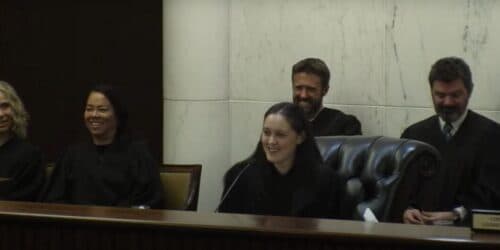 Appeals judge believes children's representatives may challenge certain parental