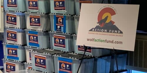 Colorado's income tax overhaul clears first hurdle for 2026 ballot