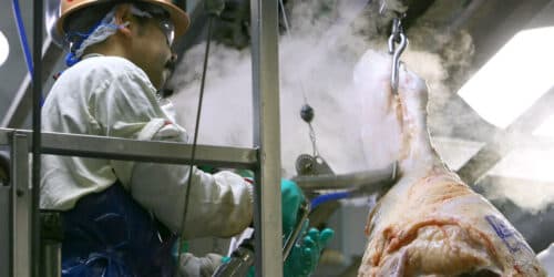 Tyson's beef plant closure in Nebraska to impact town, ranchers nationwide | OUT