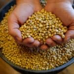 Trump administration announces $12 billion soybean aid package