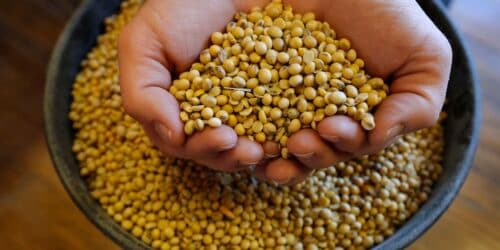 Trump administration announces $12 billion soybean aid package