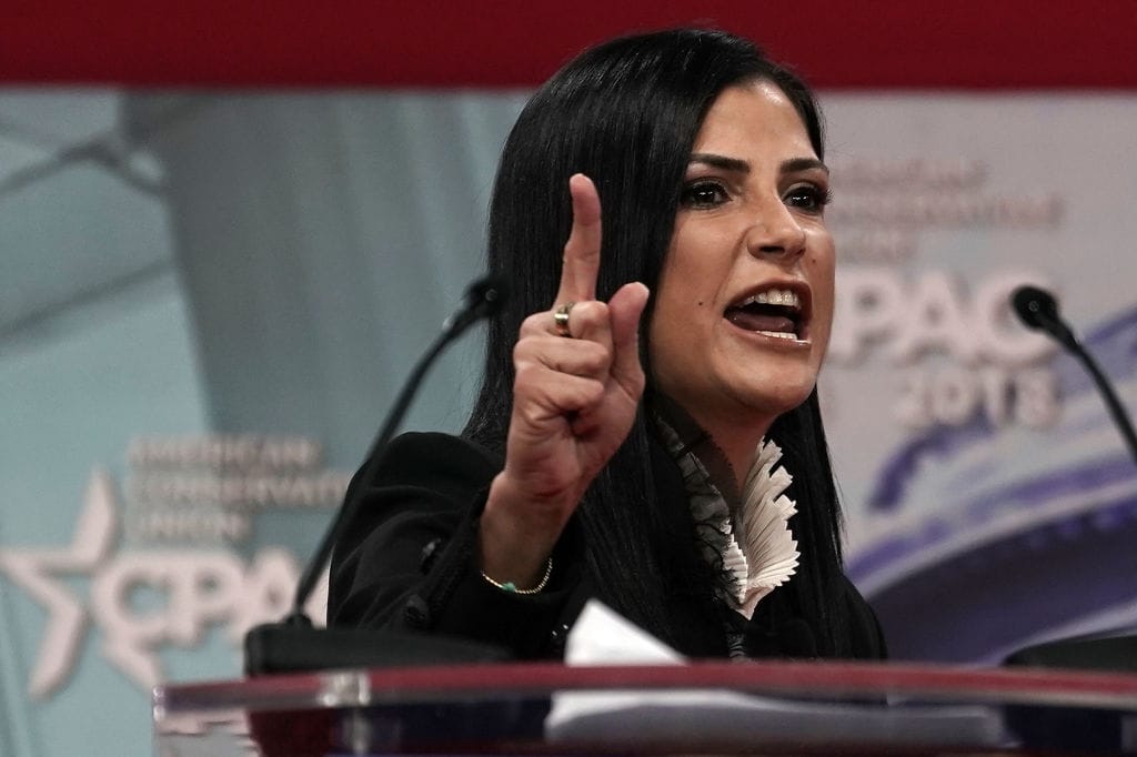 dana loesch blames media mass shootings