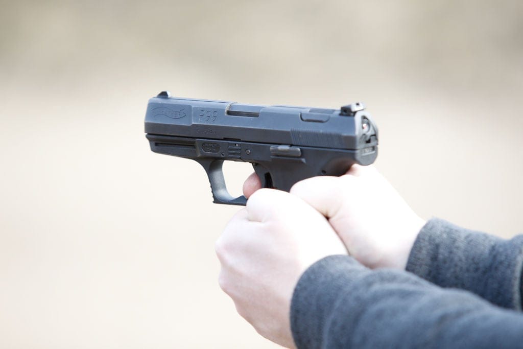 michigan gun free