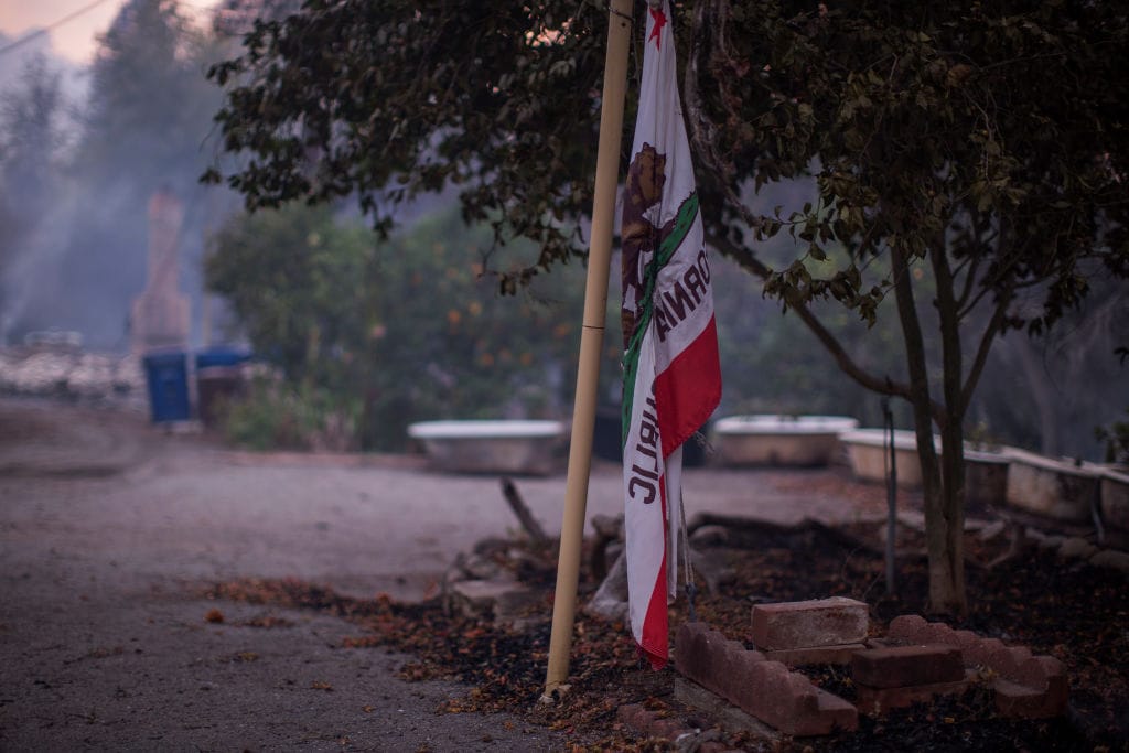 california illegals vote