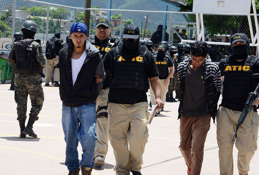 study illegal immigrants crime