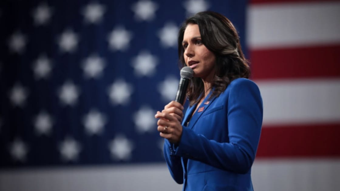 Tulsi Gabbard Cheered Terry McAuliffe Loss A 'Victory For All' Over Those Who 'Separate Us By Race'