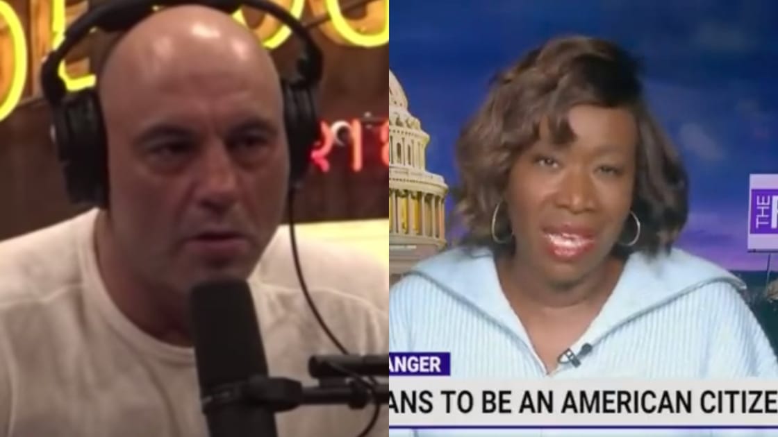 msnbc joy reid slams rogan