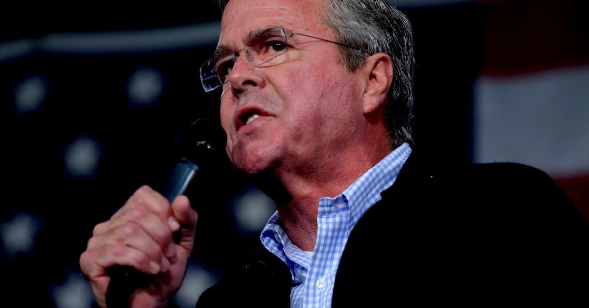 Jeb Bush