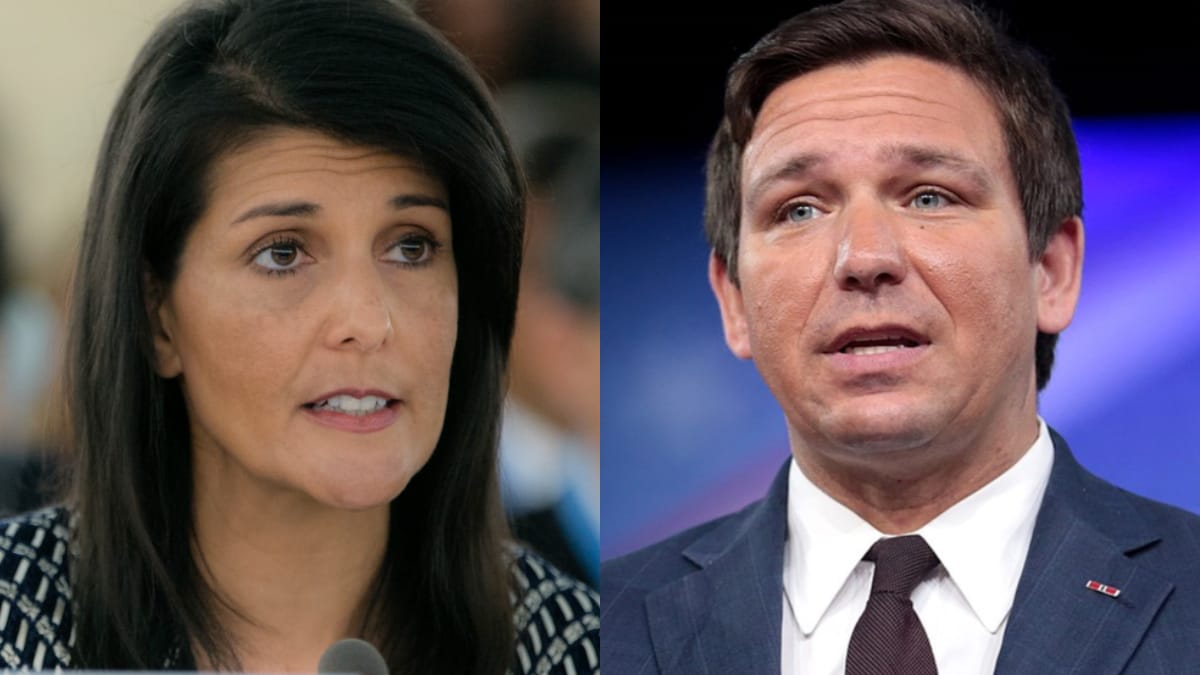 nikki haley ron desantis poll