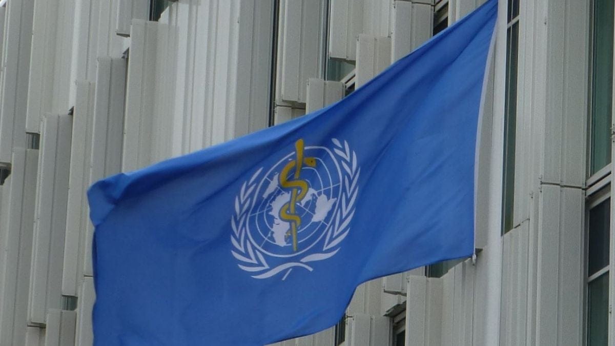 world health organization transgender