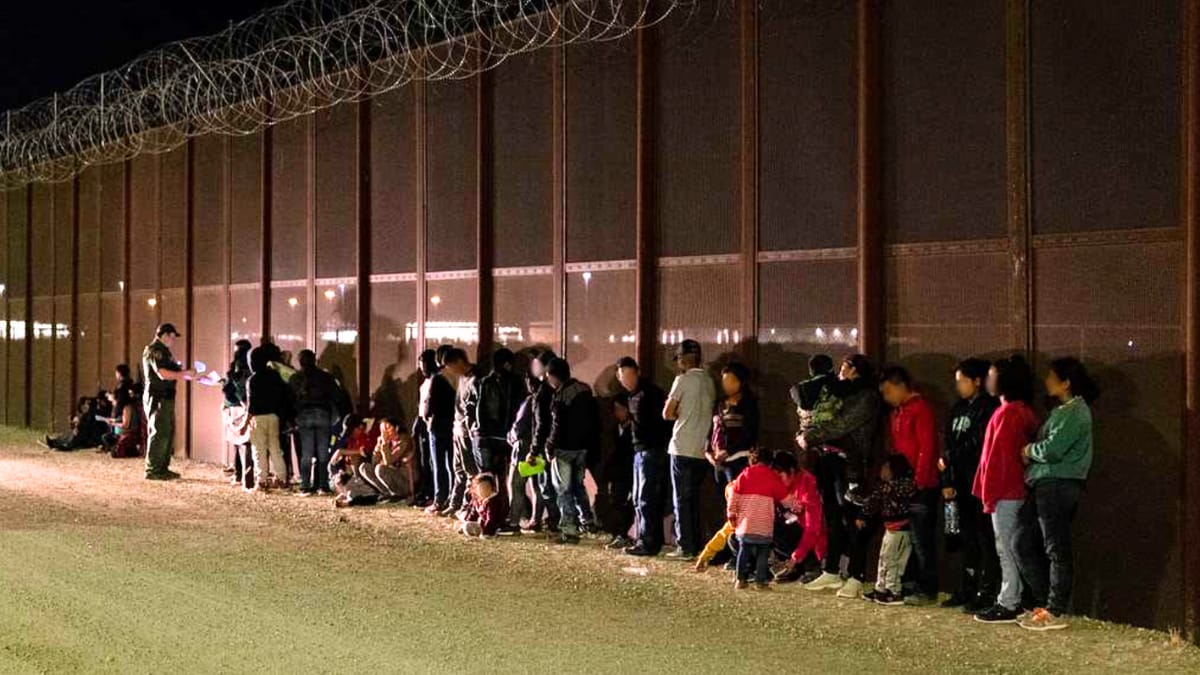 elon musk illegal immigration