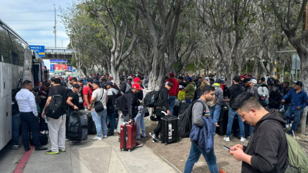 open borders victims