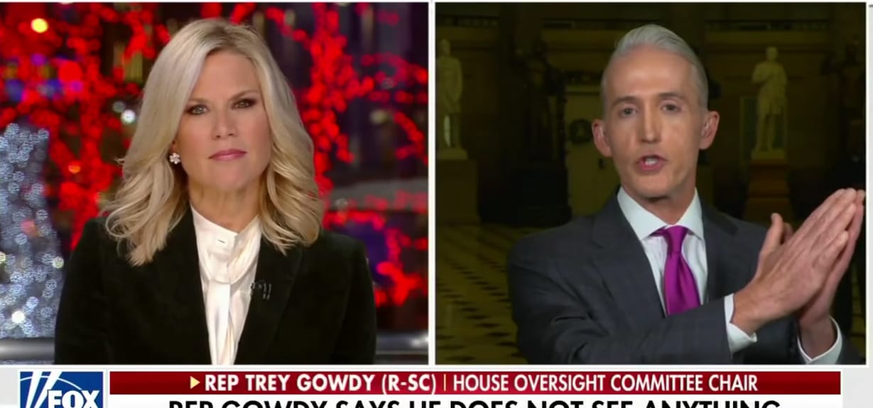 gowdy mueller probe