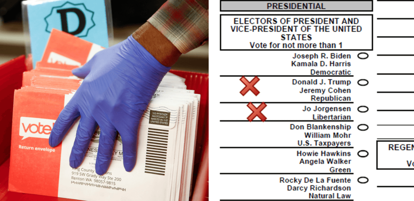 Michigan Ballots