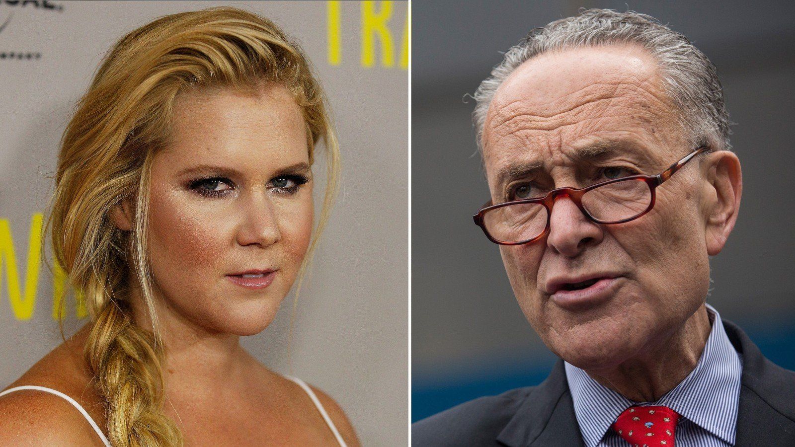 chuck schumer ancestry