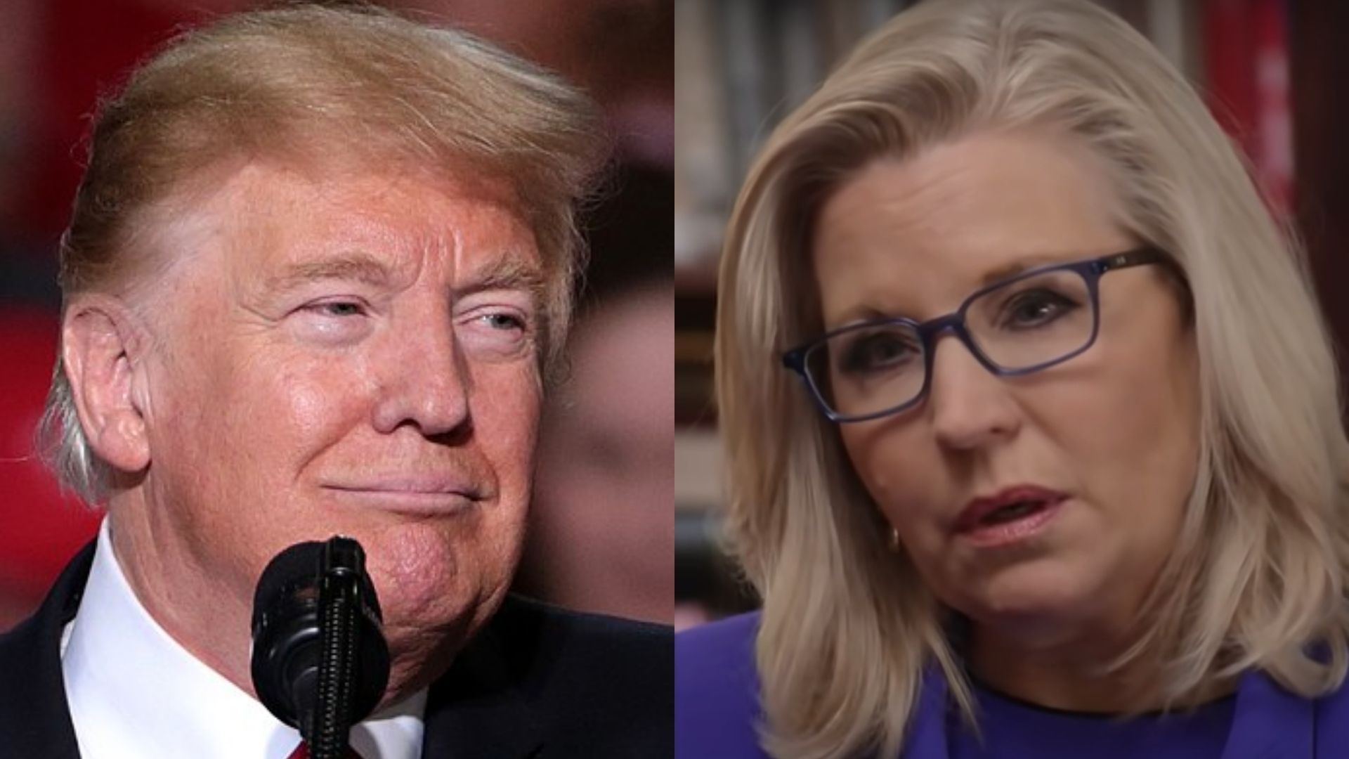 Report: Trump Ready To Endorse Liz Cheney Primary Challenger 