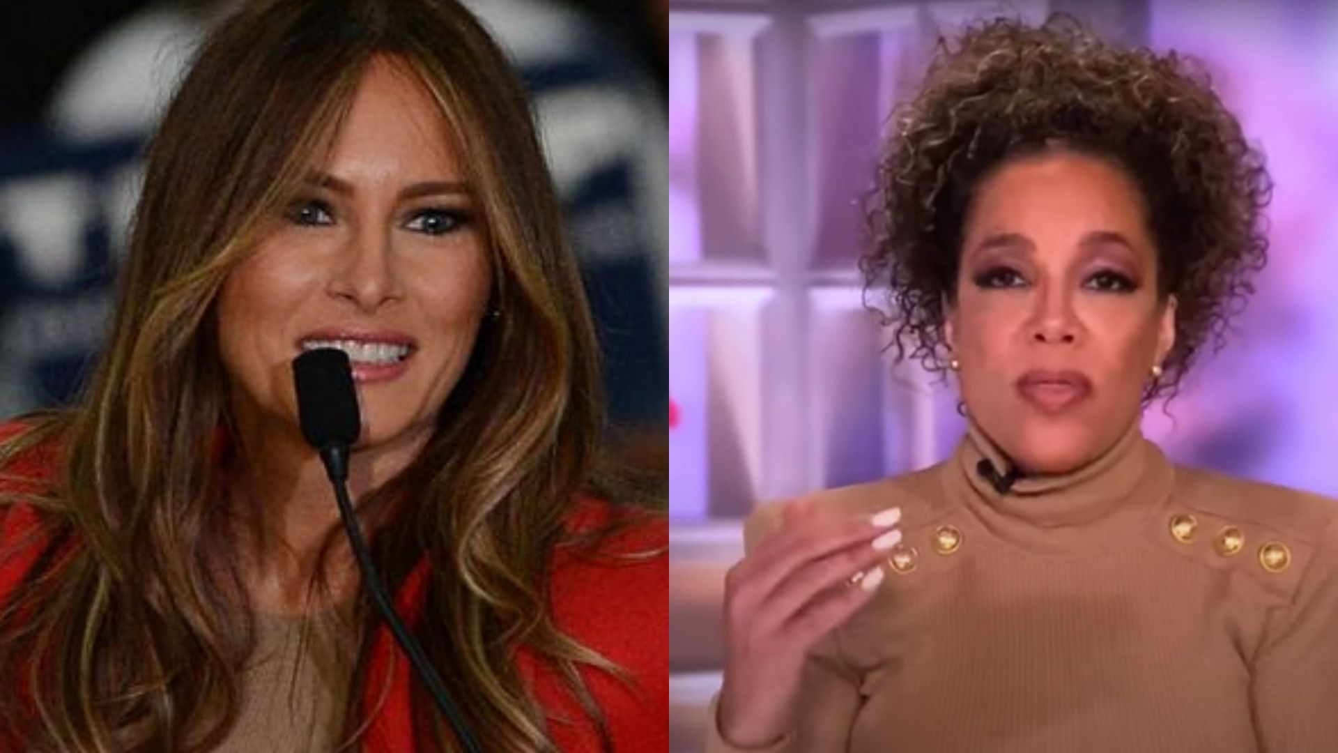 sunny hostin criticizes Melania's auction