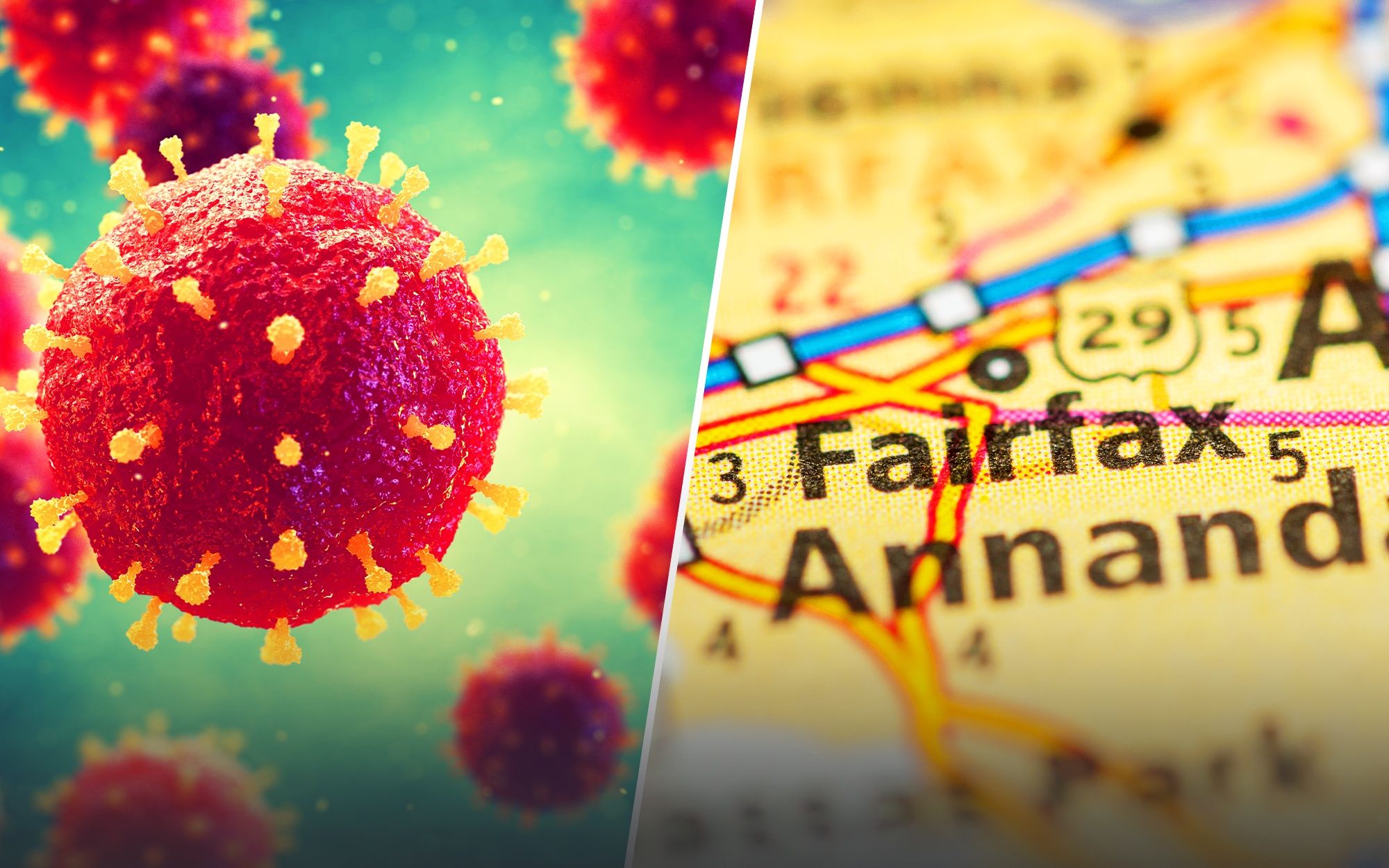 coronavirus