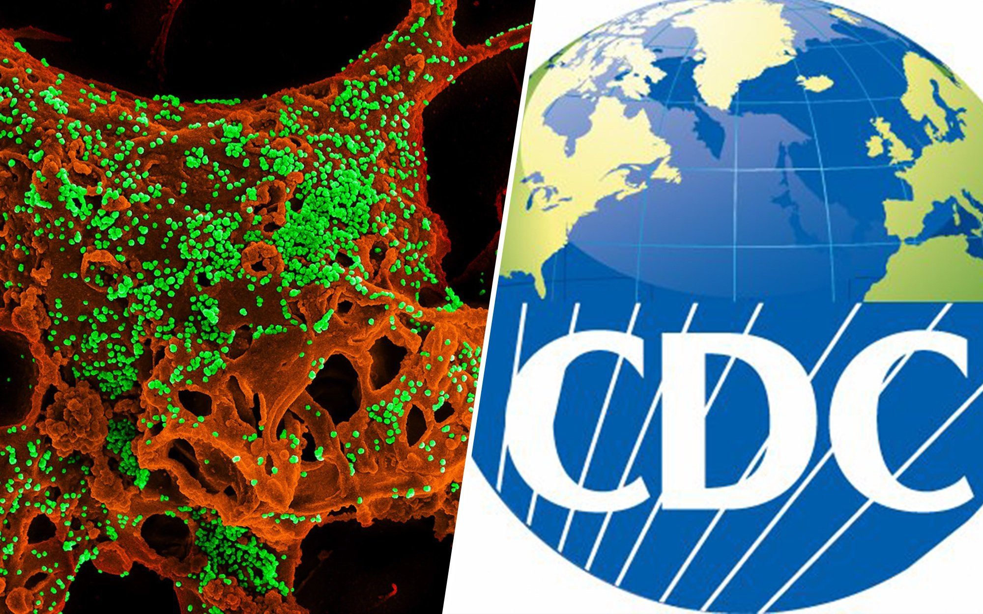 China Coronavirus
