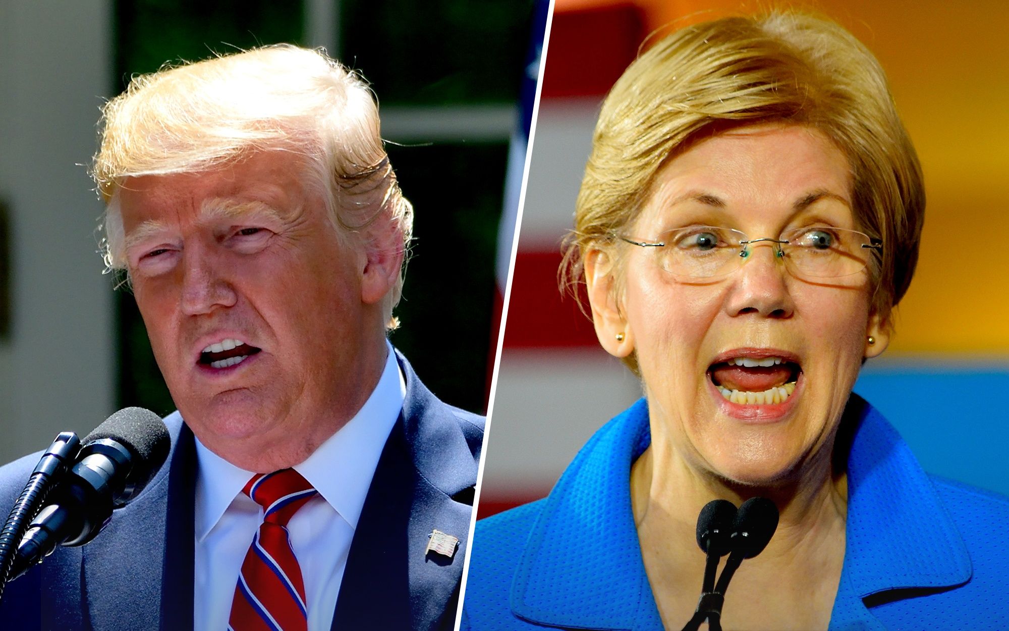 Trump Warren