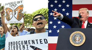 new york suing trump