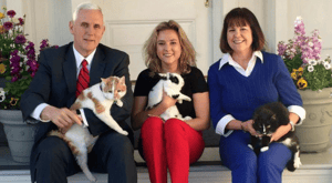 mike pence cat pickle