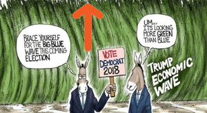 2018 midterms