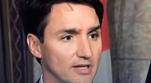 Justin Trudeau eyebrow
